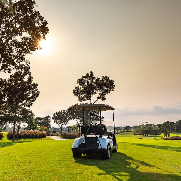 A golf course shot with special focous to the gold cart surrounded by trees.